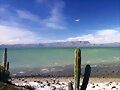 Desierto y Mar de SONORA (Mexico).