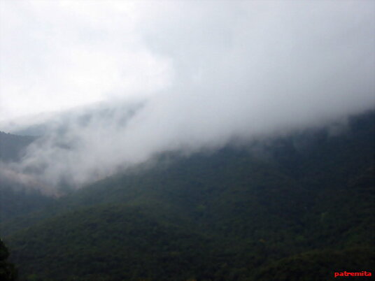 niebla en las montañas
