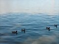 patos del lago de madrid