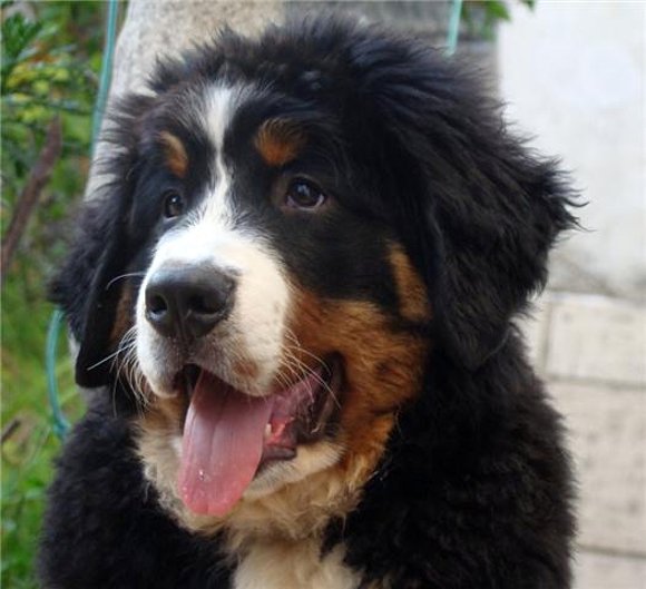 Asier con 3 meses