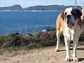 Alaska paseando por Cabo Home