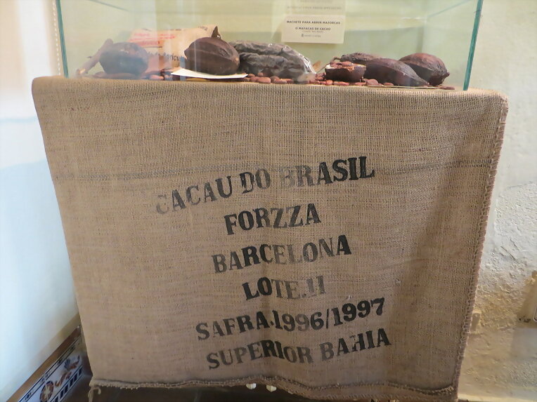 cacao