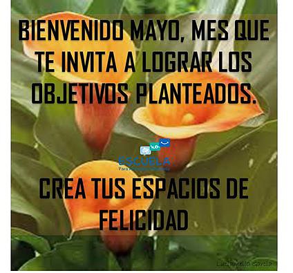 MAYO. FELIZ DIA