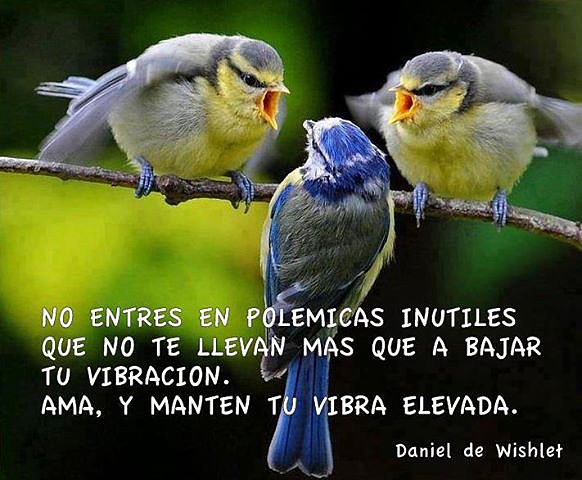 FRASES