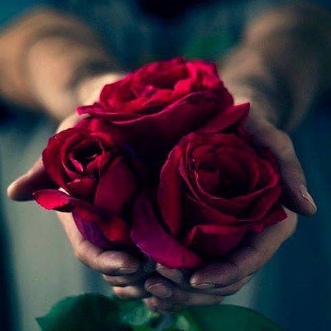 FLORES PARA TI