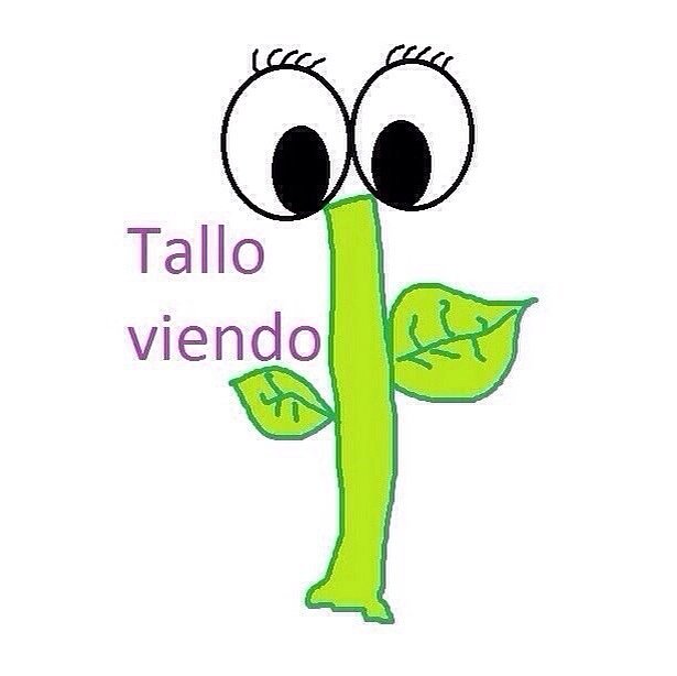 "TALLO VIENDO" Y CON FUERZA