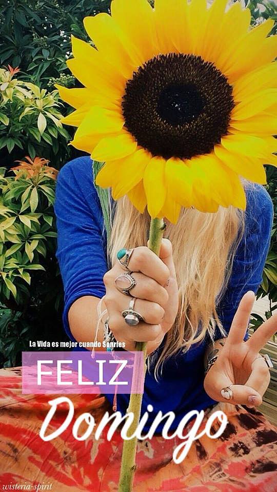 FELIZ DOMINGO