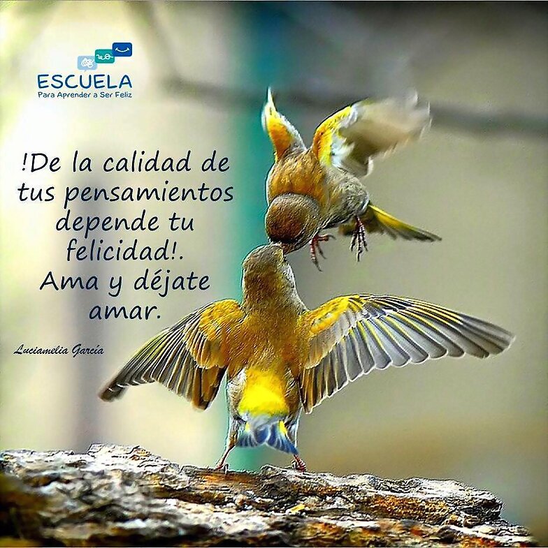 BUENOS DIAS. FELIZ DOMINGO