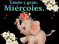 FELIZ MIERCOLES