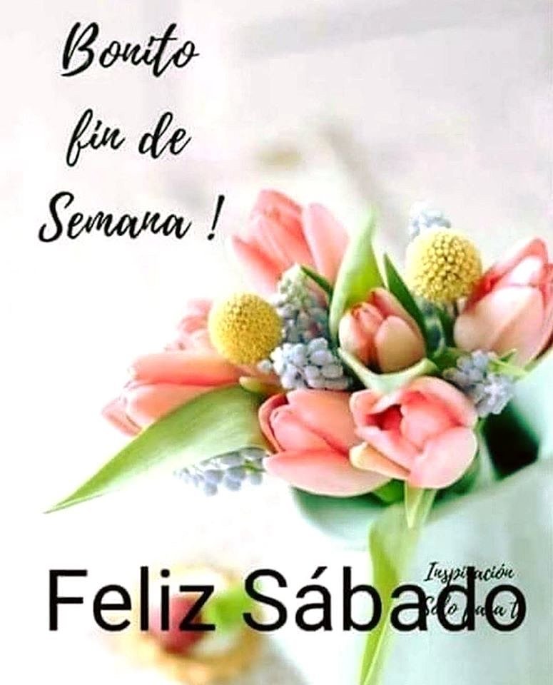 FELIZ SABADO