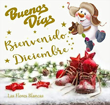 buenos dias