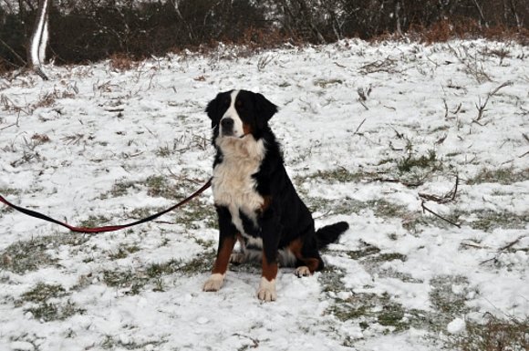 Jana en la nieve por 1ª vez.