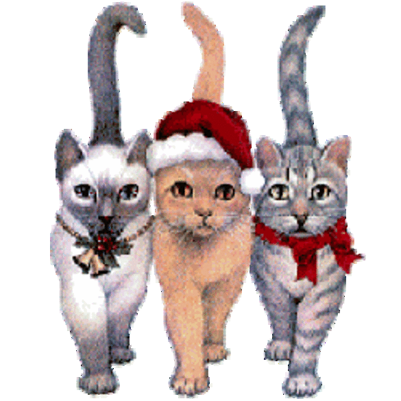 gatitos navideños