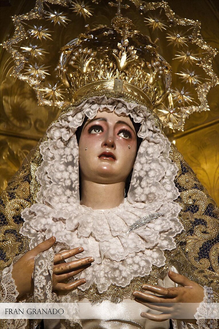 Fotografías Hermandad del Cristo de Burgos