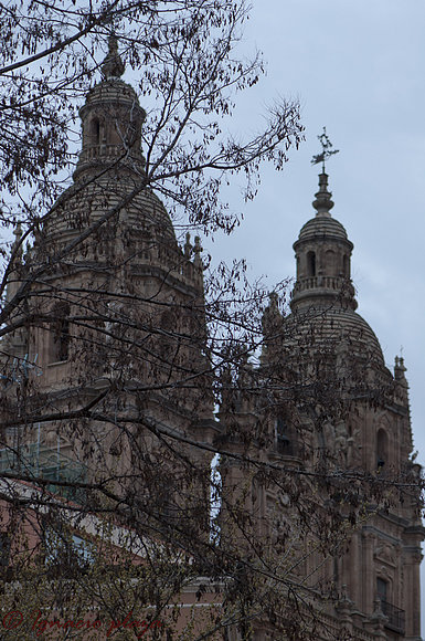 Torres de la catedral de Salamanca