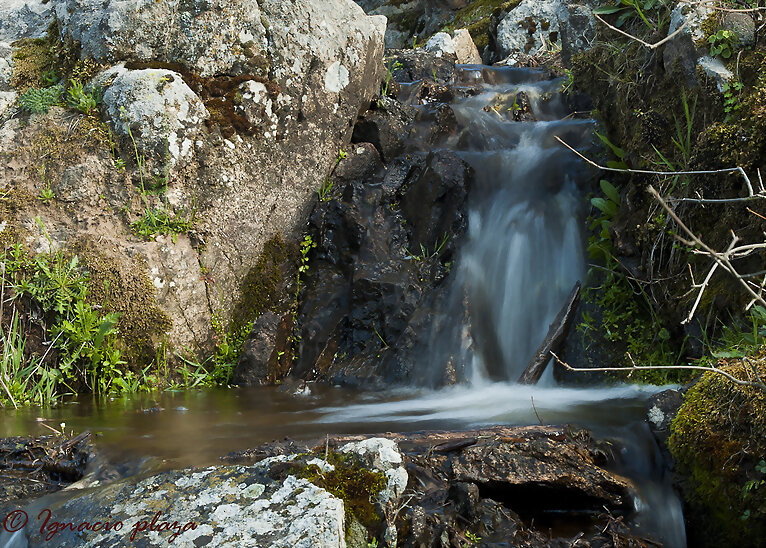 El río