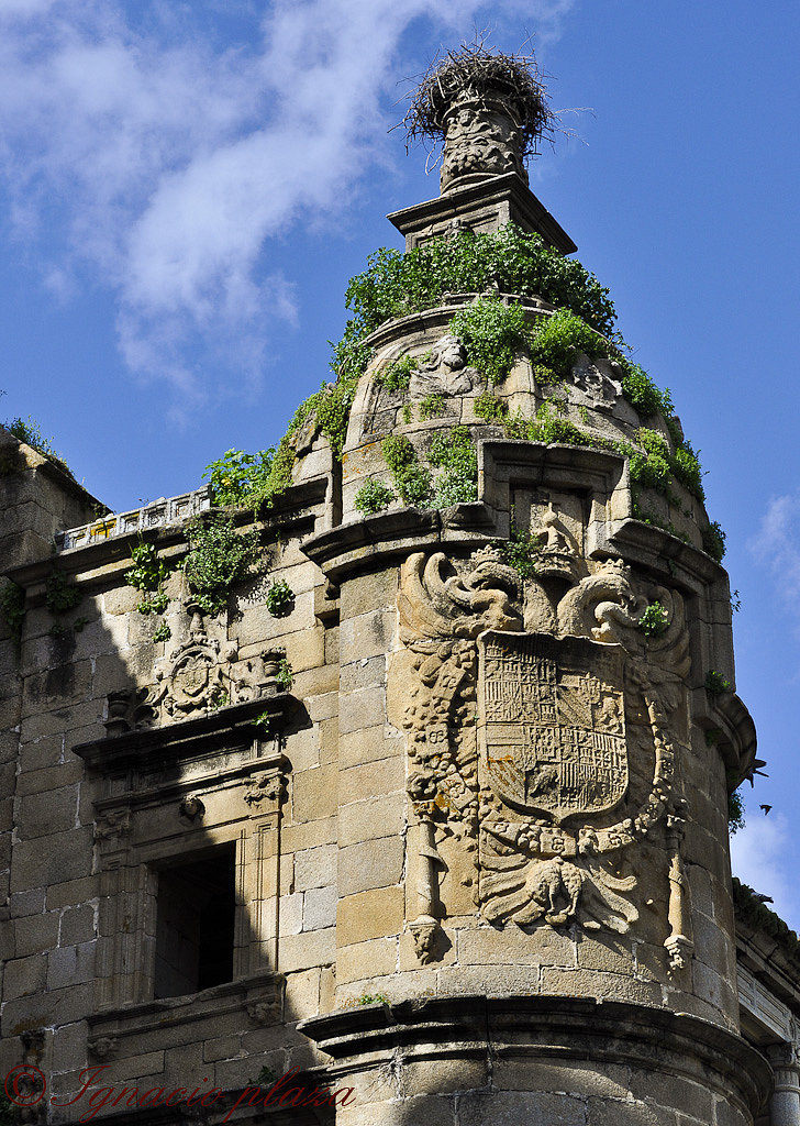 Escudo de Carlos V