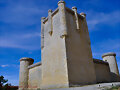 Castillo de Torrelobat&oacute;n (Torre del Homenaje)