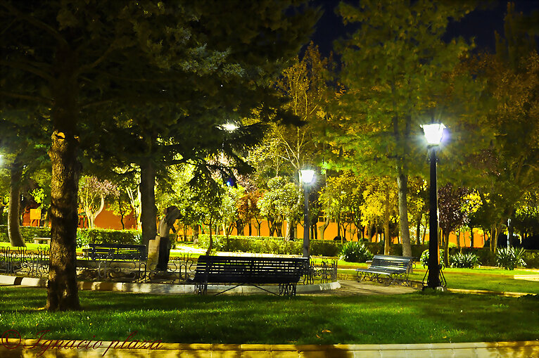 Parque nocturno