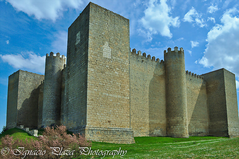 Castillo de Montealegre de Campos (Valladolid )