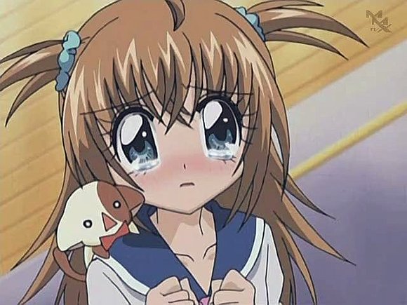 kirarin perdidad