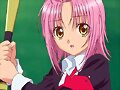 Shugo Chara Doki (3424)
