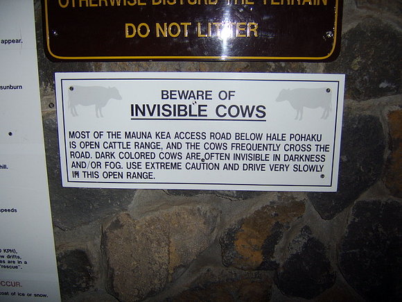 Invisible cows?!?!?!