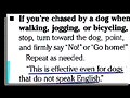 Useful knowledge about dogs