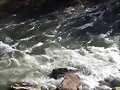 Fuerza del rio