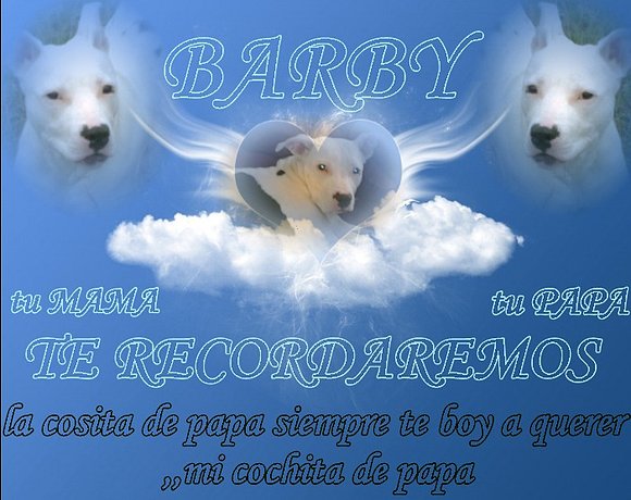 barby