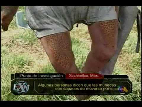 EXTRANORMAL...LA ISLA DE LAS MU&Ntilde;ECAS ..XOCHIMILCO.