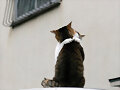 BELOVED  YOU ARE  RETURNED...??????