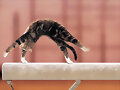 GIMNASTICS ...OLIMPICS GAME...
