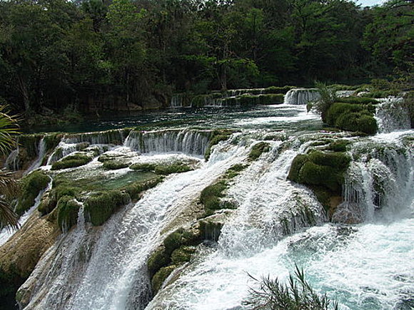 MICOS ..SLP...MEXICO..