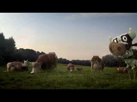 RABBIDS GO HOME...