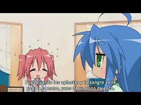 lucky star-  moscas y mosquitos