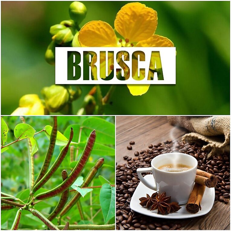 CAFE DE BRUSCA PARA PROSTATA