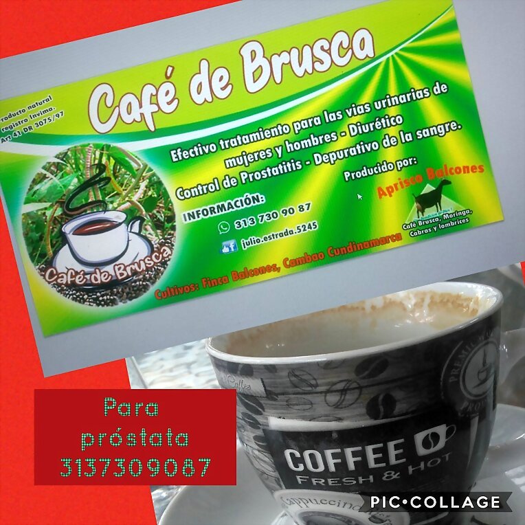CAFE DE BRUSCA PROSTATIN