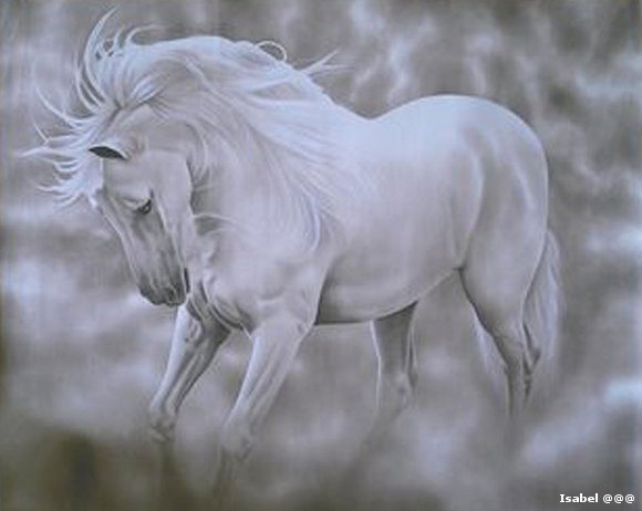 Un caballo blanco