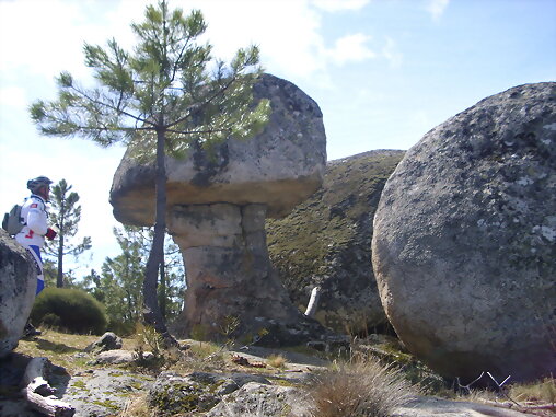 La piedra hongo