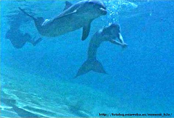 Cleo nadando con el delfín en el rodaje 2ª tempo