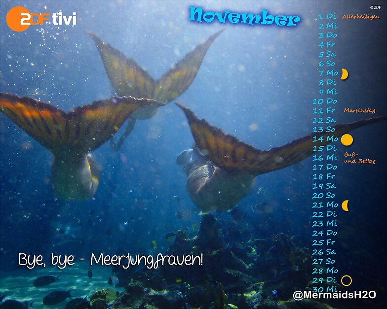 Calendario Mako Mermaids de Noviembre de 2016