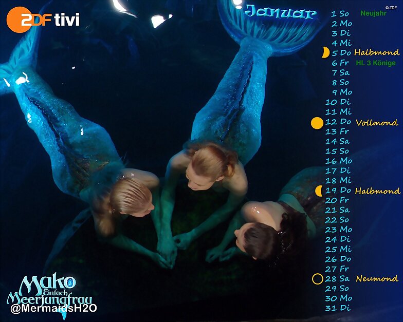 Calendario Mako Mermaids de Enero de 2017