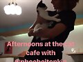 Phoebe Tonkin - Instagram Story August 2017