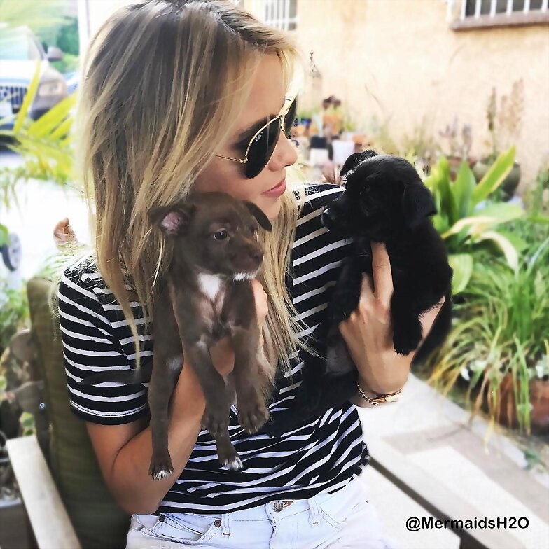 Claire Holt con perritos rescatados en Los Angeles