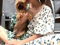 Phoebe Tonkin con su perrita Lola
