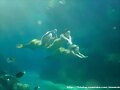 Las chicas nadando por el arrecife