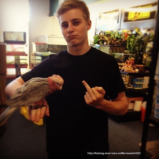 Trent Sullivan