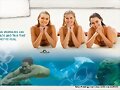 Poster Promocional Mako Mermaids