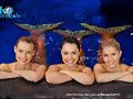 Mako Mermaids se estrena el 26 de Julio en USA
